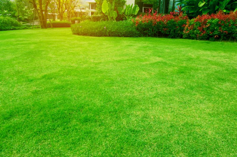 Seasonal Lawn Maintenance