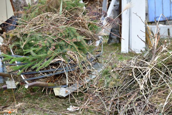 Cost of Yard Debris Removal in Carmel