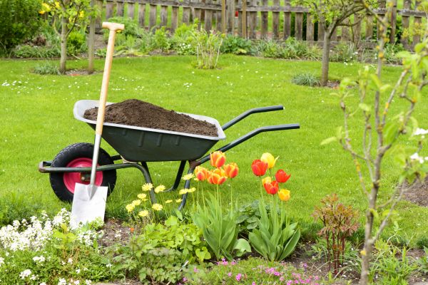 Cost of Spring Yard Cleanup in Carmel