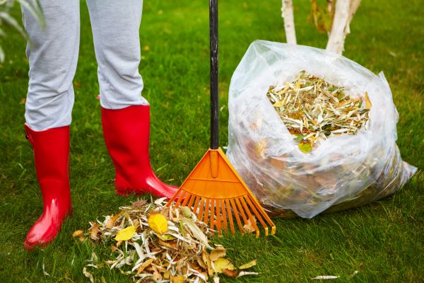 Cost of Leaf Disposal Service in Carmel
