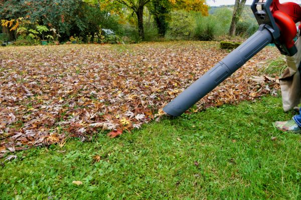 Cost of Leaves Vacuuming in Carmel