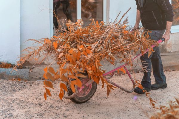 Cost of Lawn Debris Cleanup in Carmel