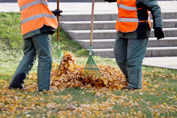 Cost of Leaf Hauling Service in Carmel