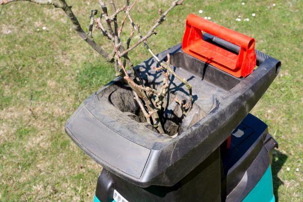 Cost of Brush Cleanup Service in Carmel