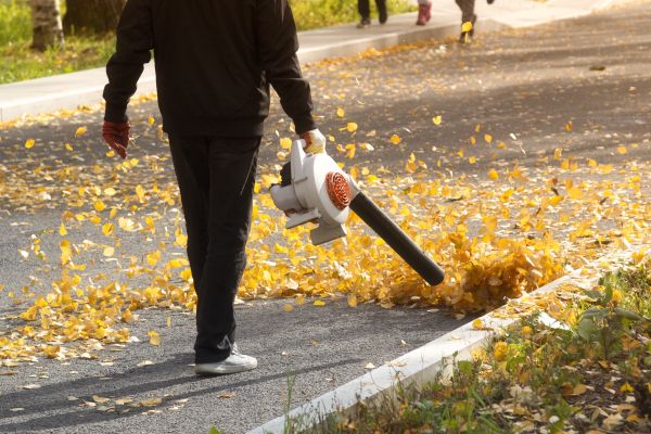 Cost of Commercial Leaf Removal in Carmel